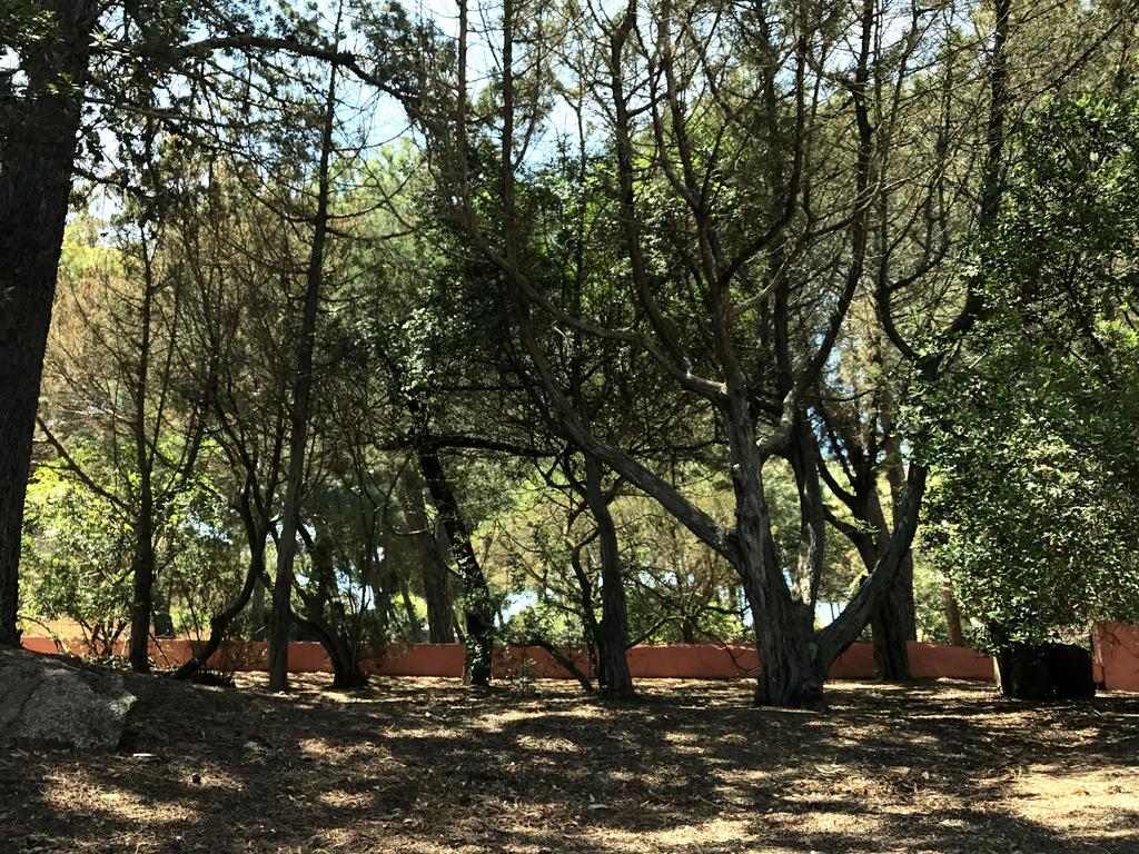 Villa Mica La Maddalena  Luaran gambar