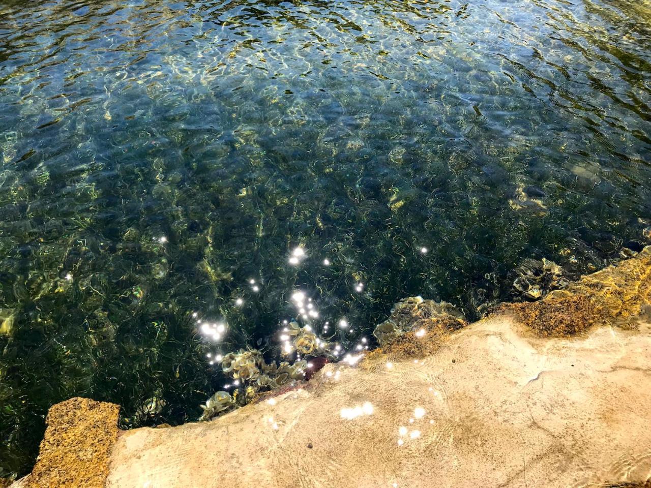 Villa Mica La Maddalena  Luaran gambar